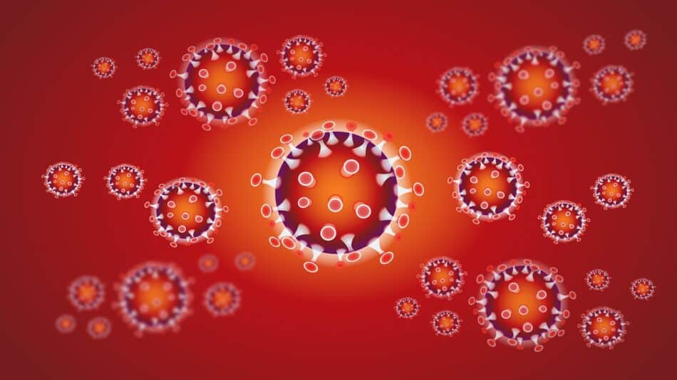 La nueva cepa G614 del coronavirus. ¿Se propaga más, es más letal, afectará a la vacuna?
