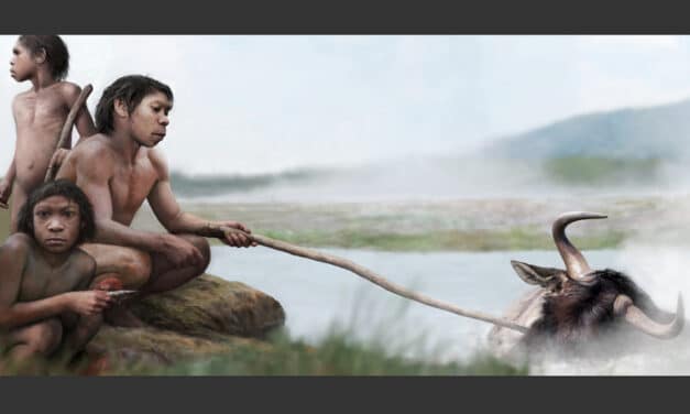 Prehistoria humana: hirvieron su comida en aguas termales antes de dominar el fuego
