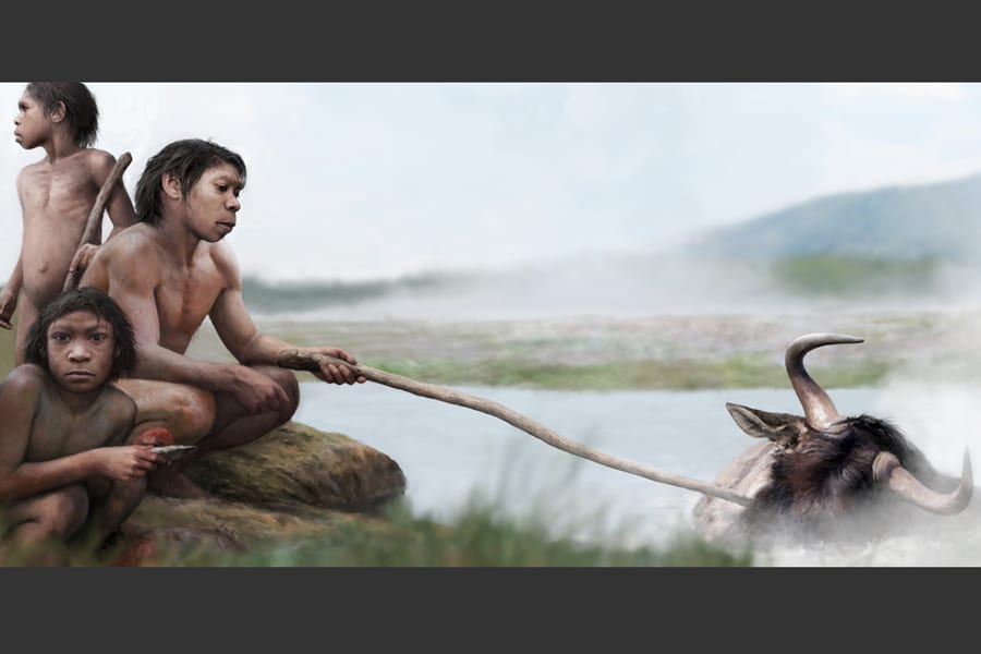 Prehistoria humana: hirvieron su comida en aguas termales antes de dominar el fuego