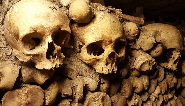 Unos esqueletos de 6.600 años revelan la desigualdad económica en la Edad de Piedra