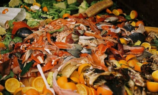Cómo reducir el desperdicio alimentario