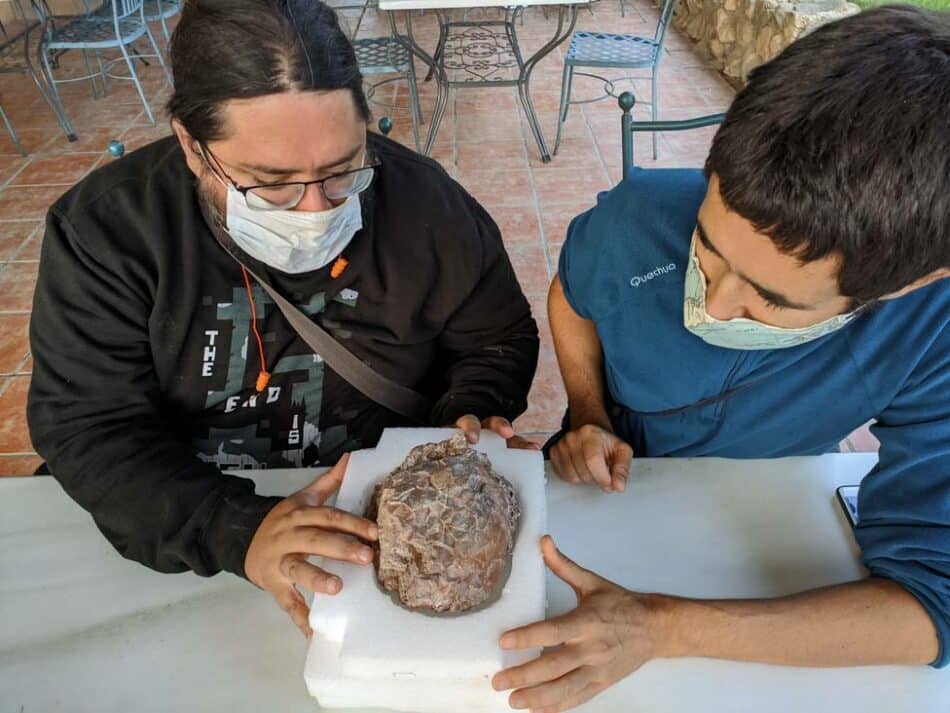 Descubierto en Huesca uno de los mayores yacimientos de huevos de dinosaurio del mundo