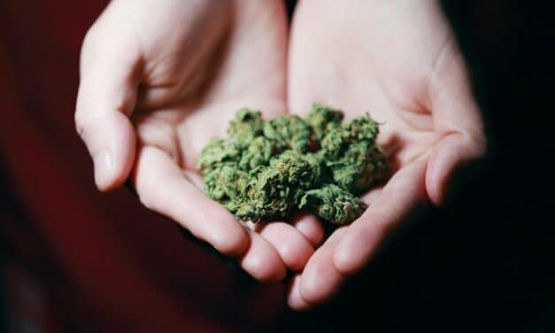 ¿Qué efectos tiene en los jóvenes legalizar la marihuana? Este es el resultado de un estudio en EE.UU tras su legalización
