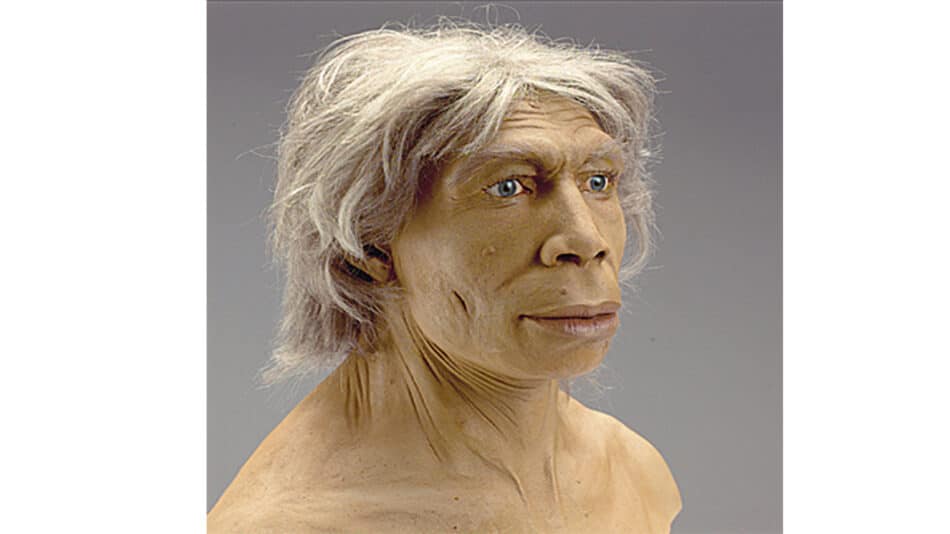 ¿Quién fue el primer neandertal?