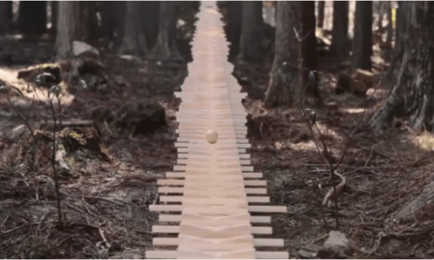Así suena el xilófono gigante en un bosque de Japón