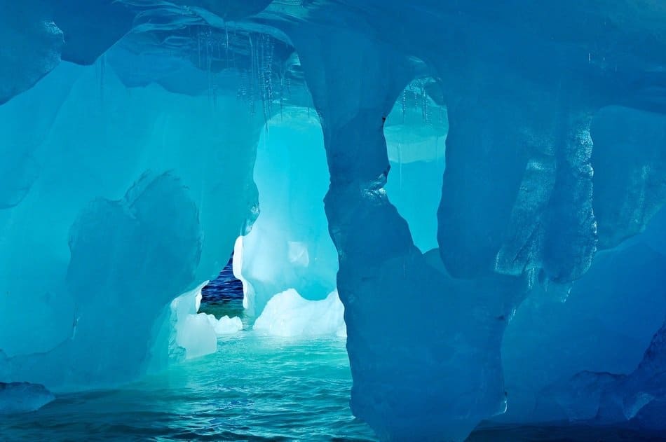 Extraños organismos descubiertos a 900 metros bajo el hielo de la Antártida