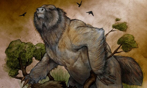Así era el perezoso gigante que vivió hace 3,5 millones de años