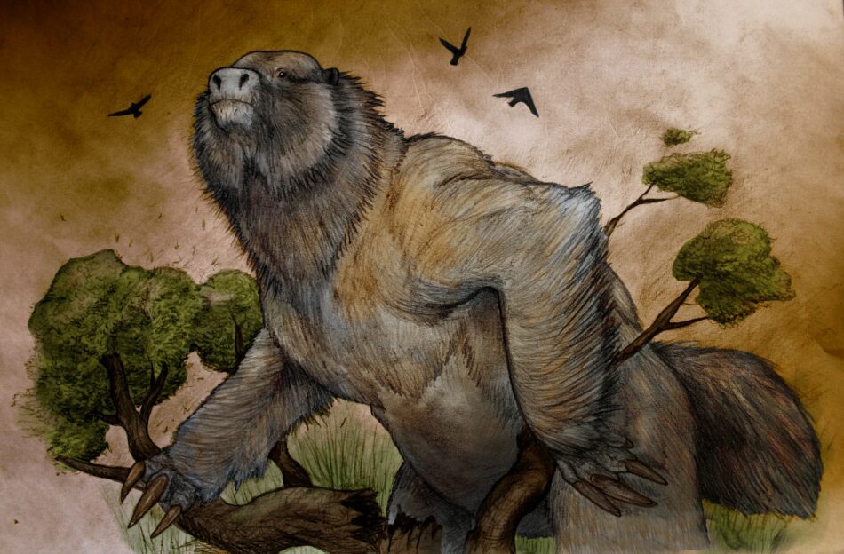 Así era el perezoso gigante que vivió hace 3,5 millones de años