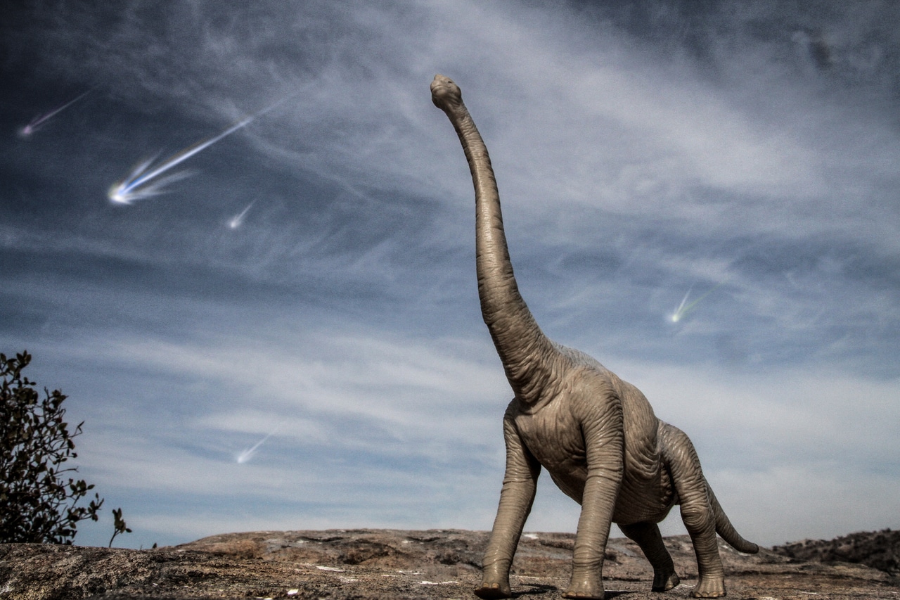 Dinosaurios - El meteorito que mató a los dinosaurios era un cometa