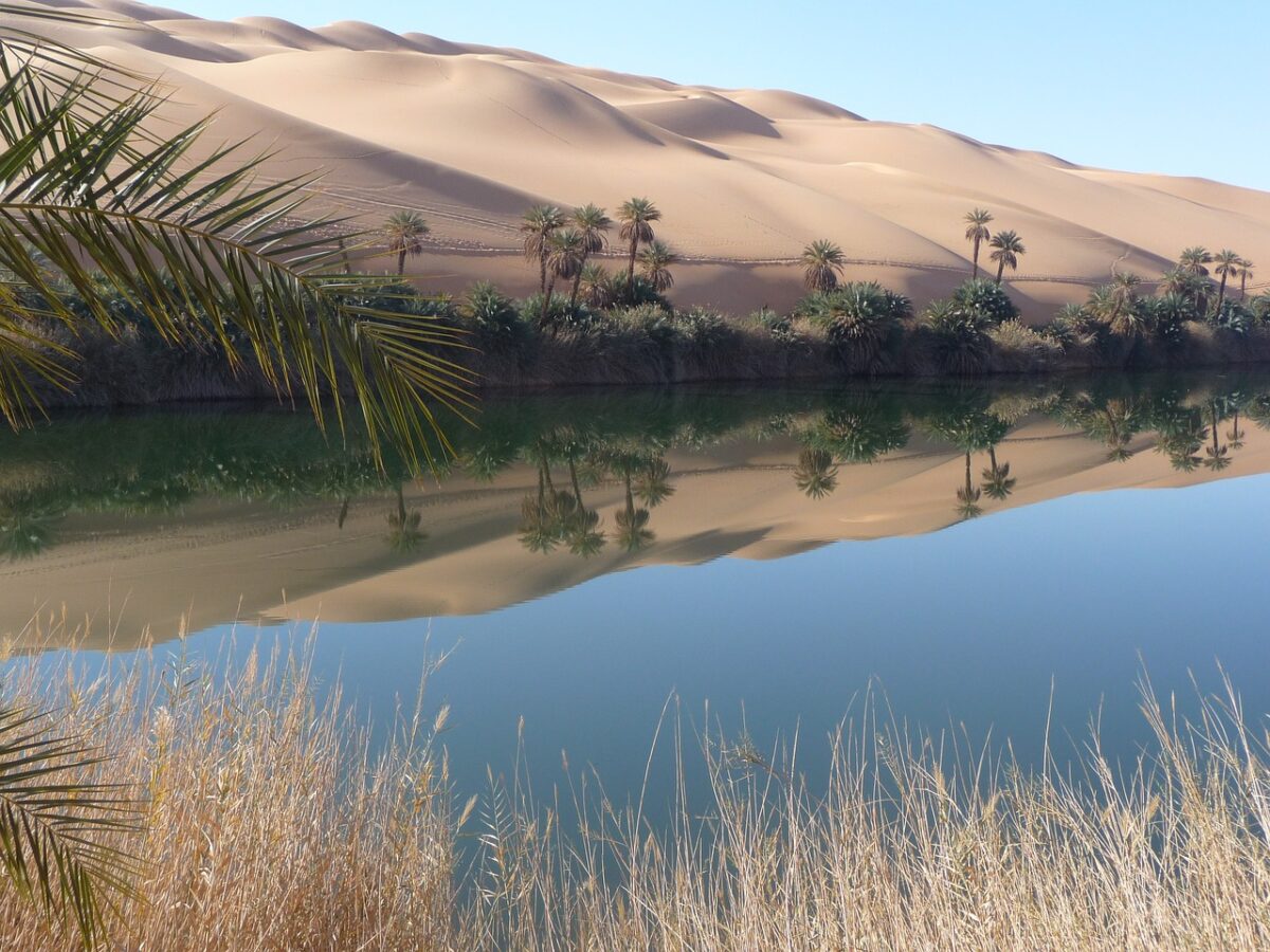 El desierto del Sahara fue verde y húmedo durante periodos de 5.000 años
