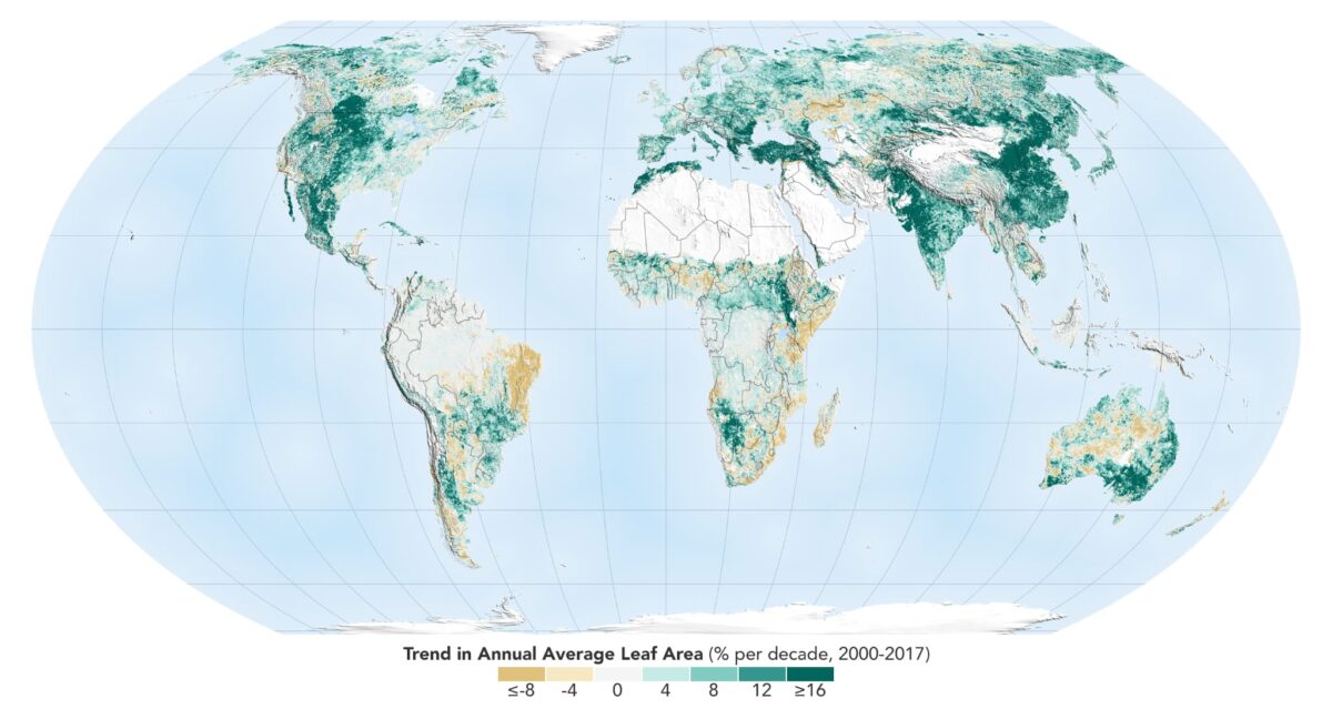 La Tierra es hoy más verde que hace dos décadas
