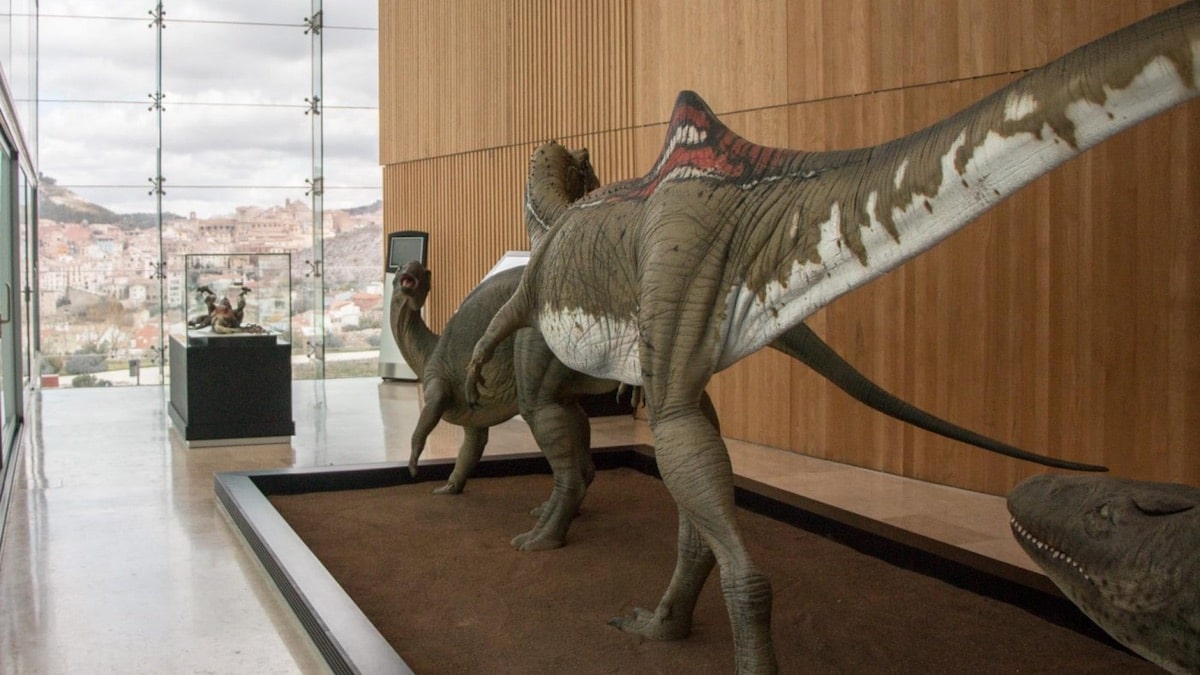 Viajes de ciencia - Cuando los dinosaurios paseaban por Cuenca