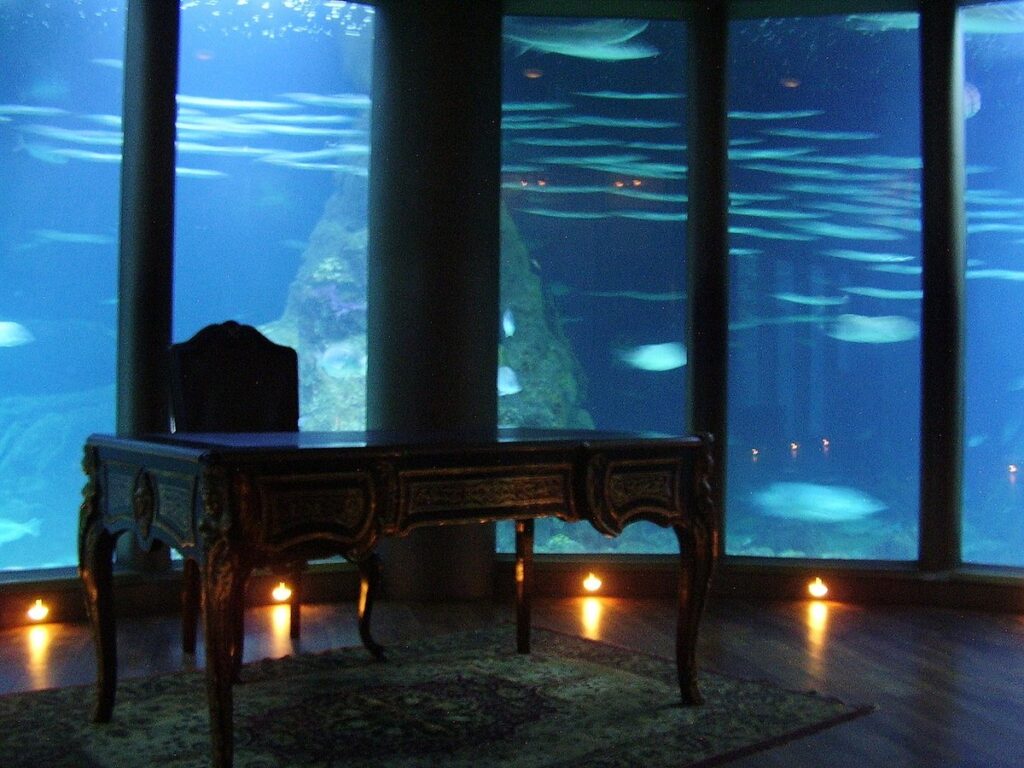 aquarium finisterrae