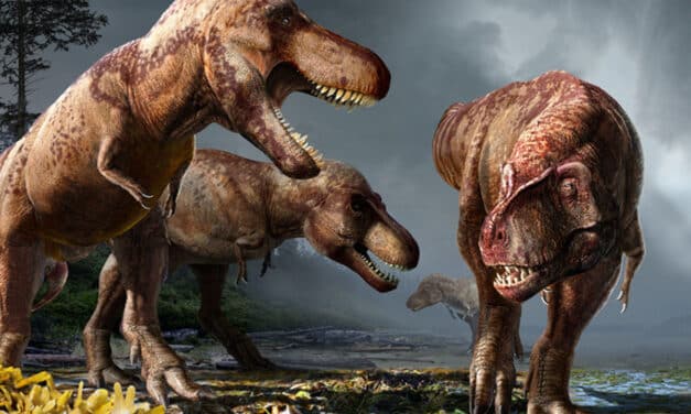 ¡2.500 millones de Tyrannosaurus rex han poblado la Tierra!