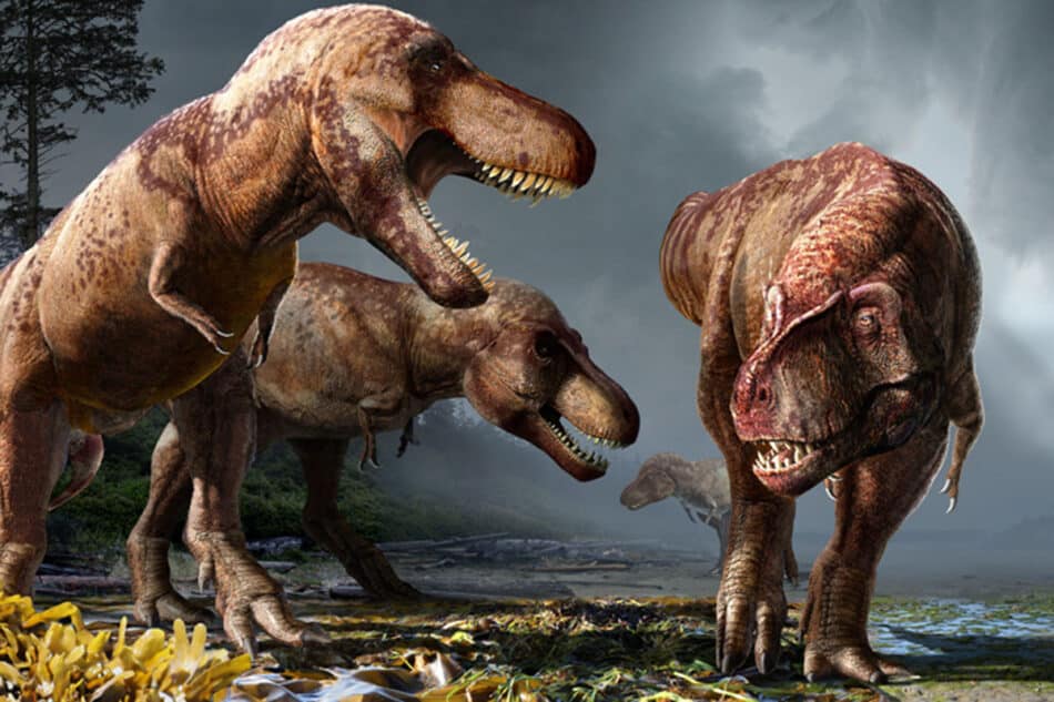¡2.500 millones de Tyrannosaurus rex han poblado la Tierra!