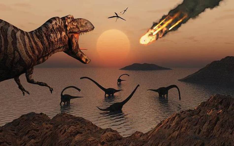 El meteorito que mató a los dinosaurios fue el origen de la selva amazónica
