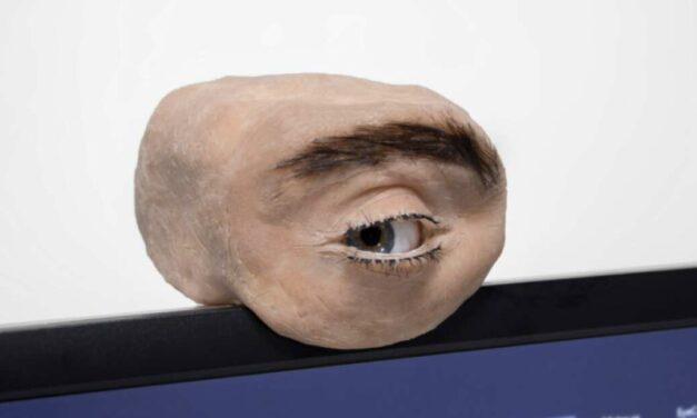 Eyecam: La nueva generación de webcams con forma de ojo humano