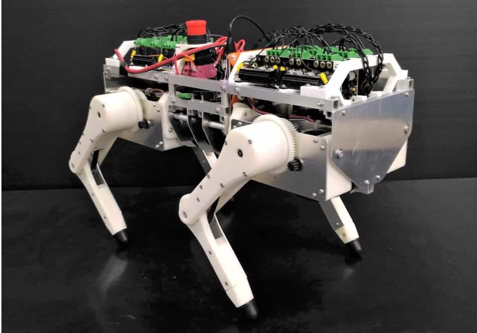 El primer gato robot para investigar sus increíbles movimientos