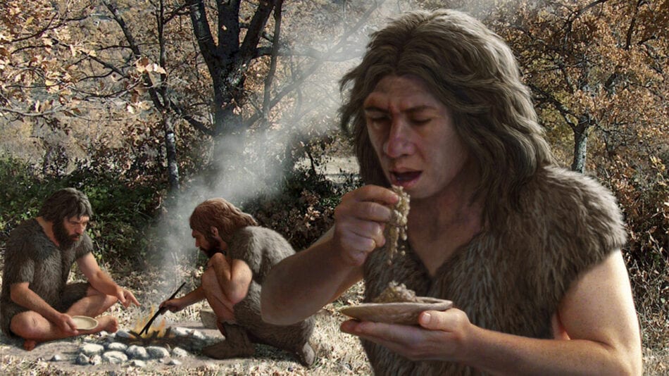 Comer carbohidratos dotó a los neandertales de grandes cerebros