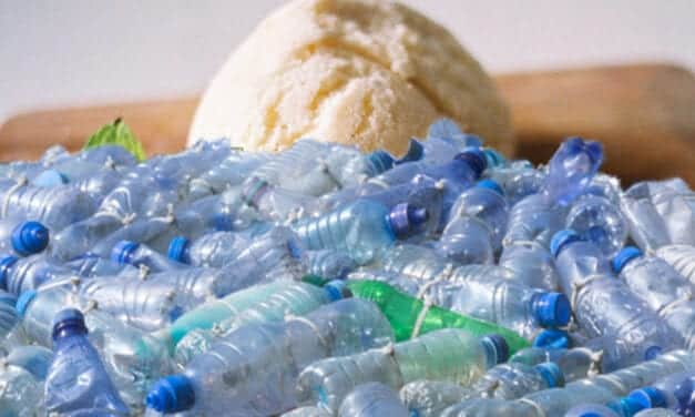 La extraordinaria propuesta de reciclar el plástico en vainilla