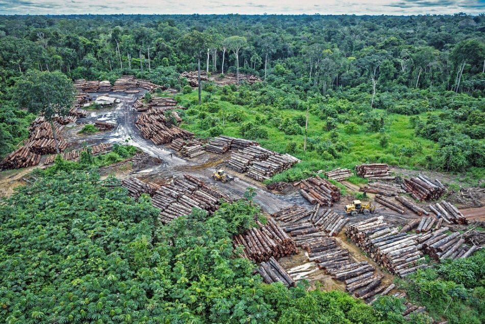 Amazonas: ya se ha alcanzado el punto de no retorno