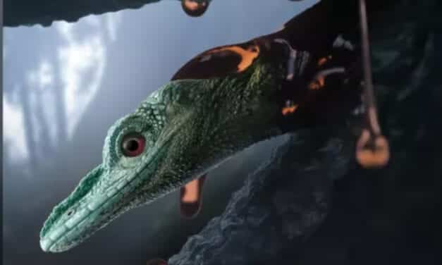 La rara calavera del ‘dinosaurio’ más pequeño del mundo desconcierta a los científicos