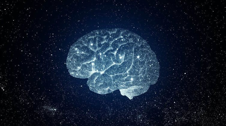 Cerebro y universo: ¿evolucionan de la misma forma?