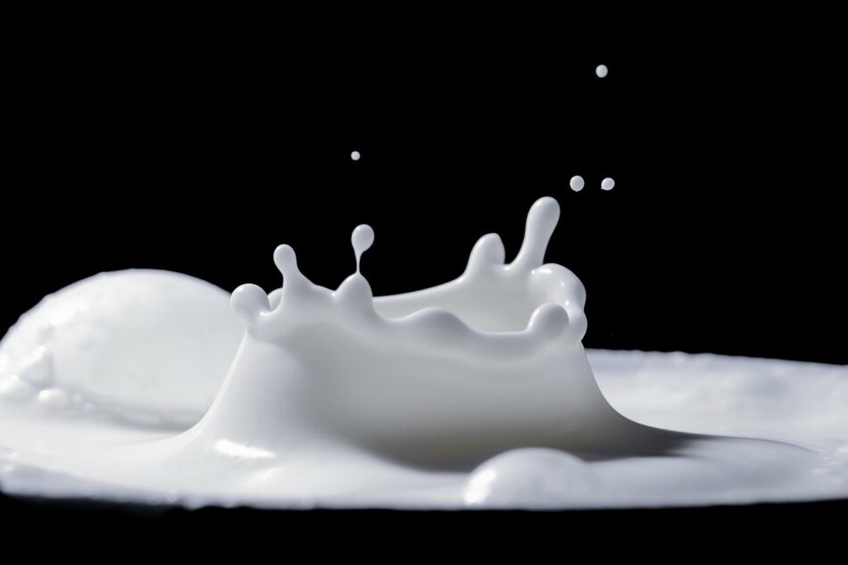 ¿Por qué hay que añadir vitamina D a la leche?