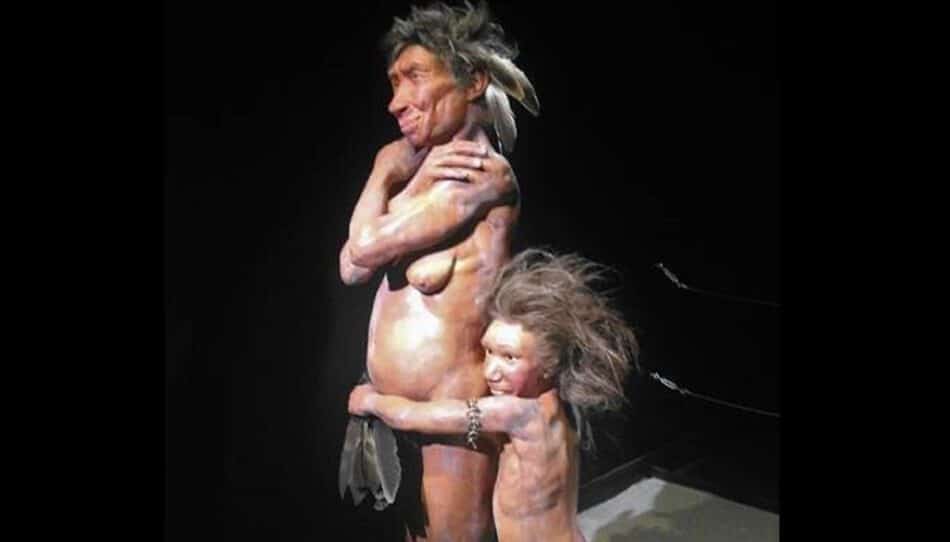Los neandertales capturaban aves en las cuevas para su consumo