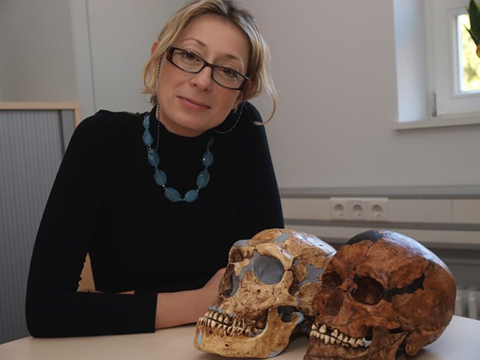 “Sabemos que nos hibridamos con los neandertales, pero no hay fósiles que demuestren que se encontraron”, Katerina Harvati