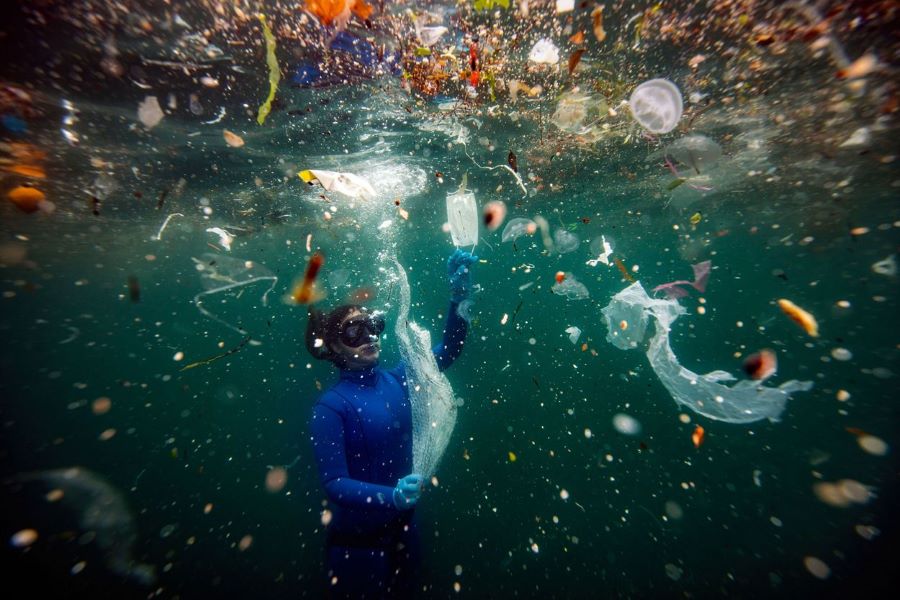 plásticos en el mar