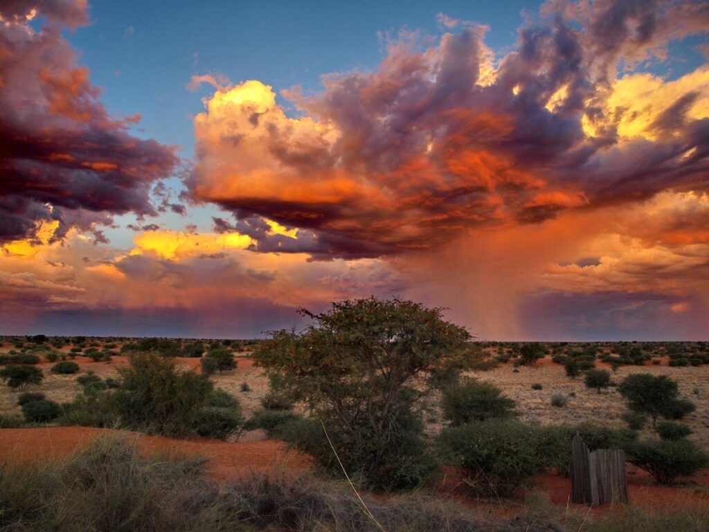 desierto de Kalahari