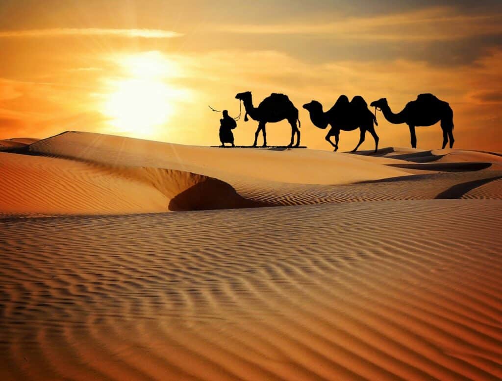 desierto arabia