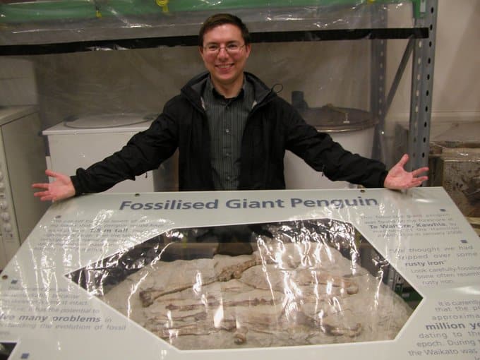 ping�ino gigante fosilizado