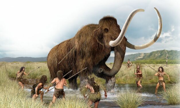 Los humanos llevan un millón y medio de años extinguiendo animales grandes