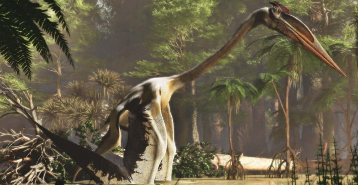 Este pterosaurio es el animal volador más grande de la historia