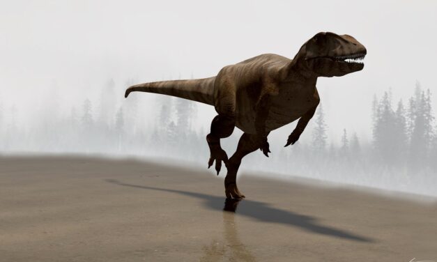 Pablo Navarro: «Estos dinosaurios corrían a 45 km por hora»