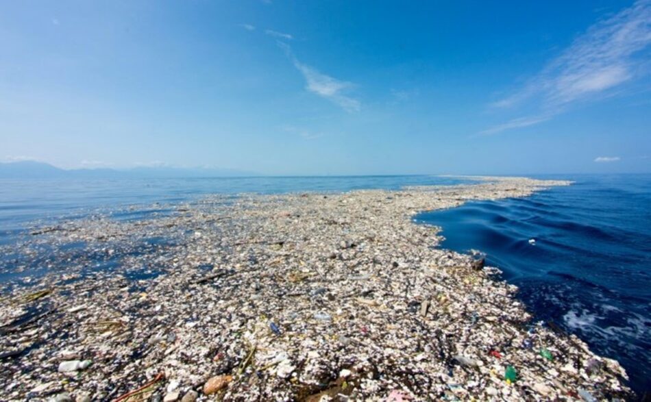 Plástico - La isla de basura del Pacífico, colonizada por animales y plantas