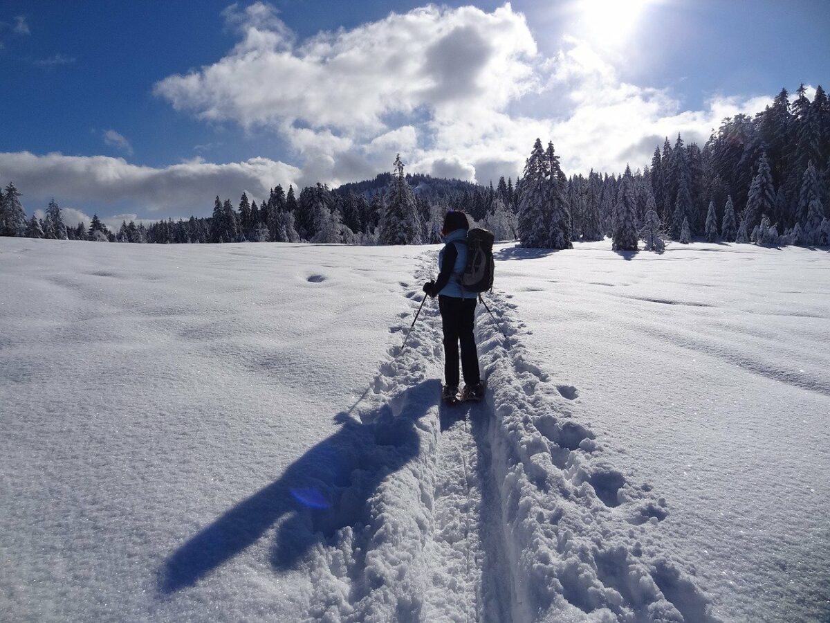 Paisajes de nieve que solo puedes ver con raquetas