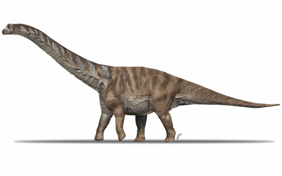 Un nuevo dinosaurio gigante, de origen africano, que vivió en los Pirineos