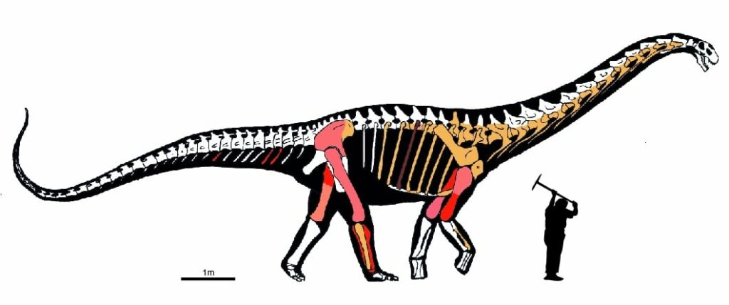 Ilustración del Abditosaurus kuehnei