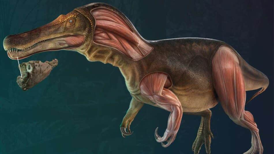 Los extraños dinosaurios que nacieron en la Península Ibérica
