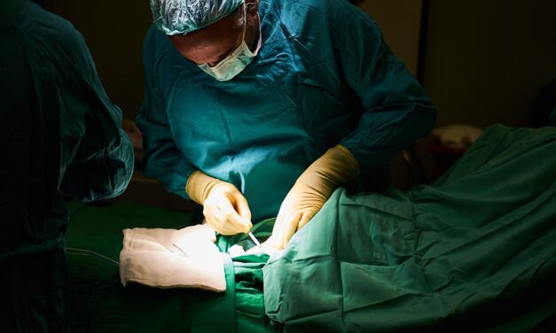 Muere el paciente que recibió un trasplante de corazón de cerdo