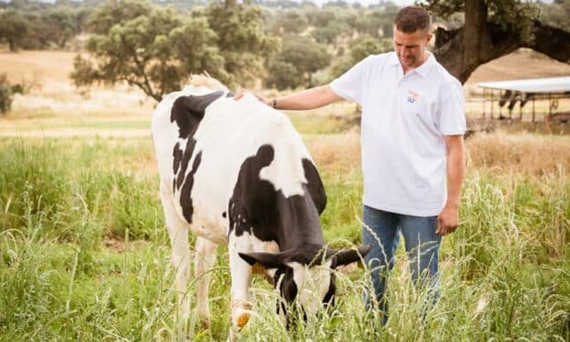 Leche A2: ¿qué tienen de especial las vacas que la producen?
