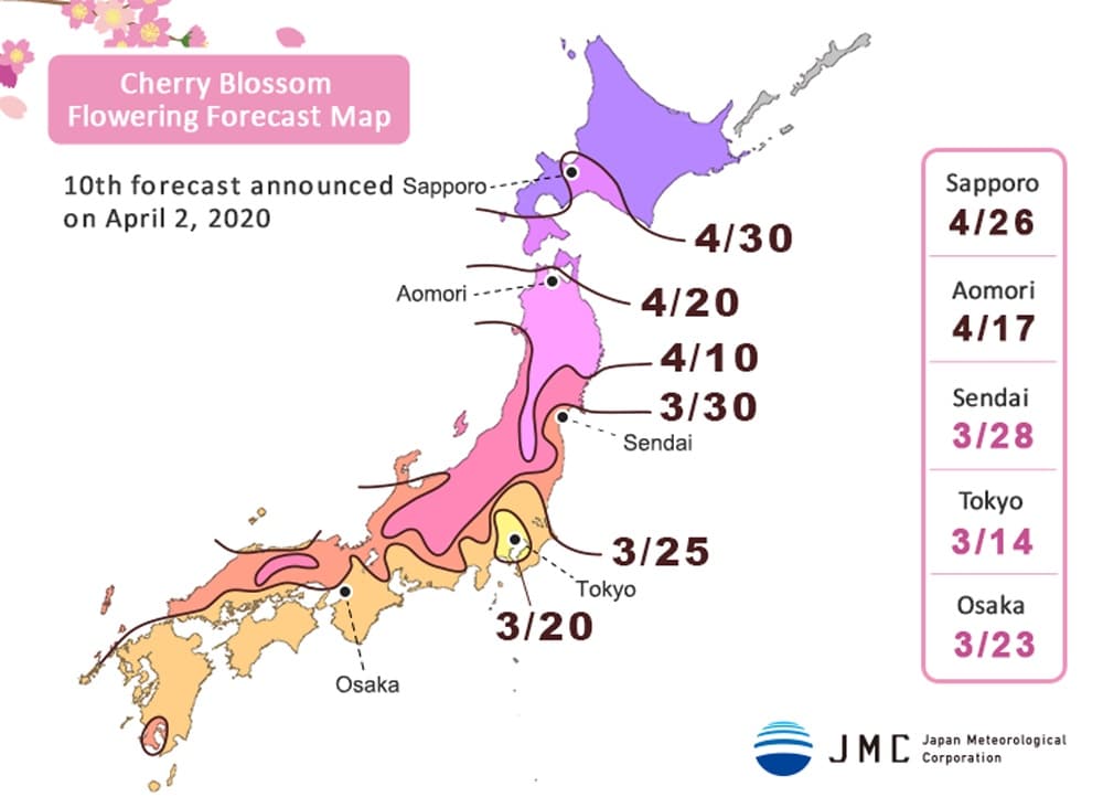 mapa cerezos en flor japón
