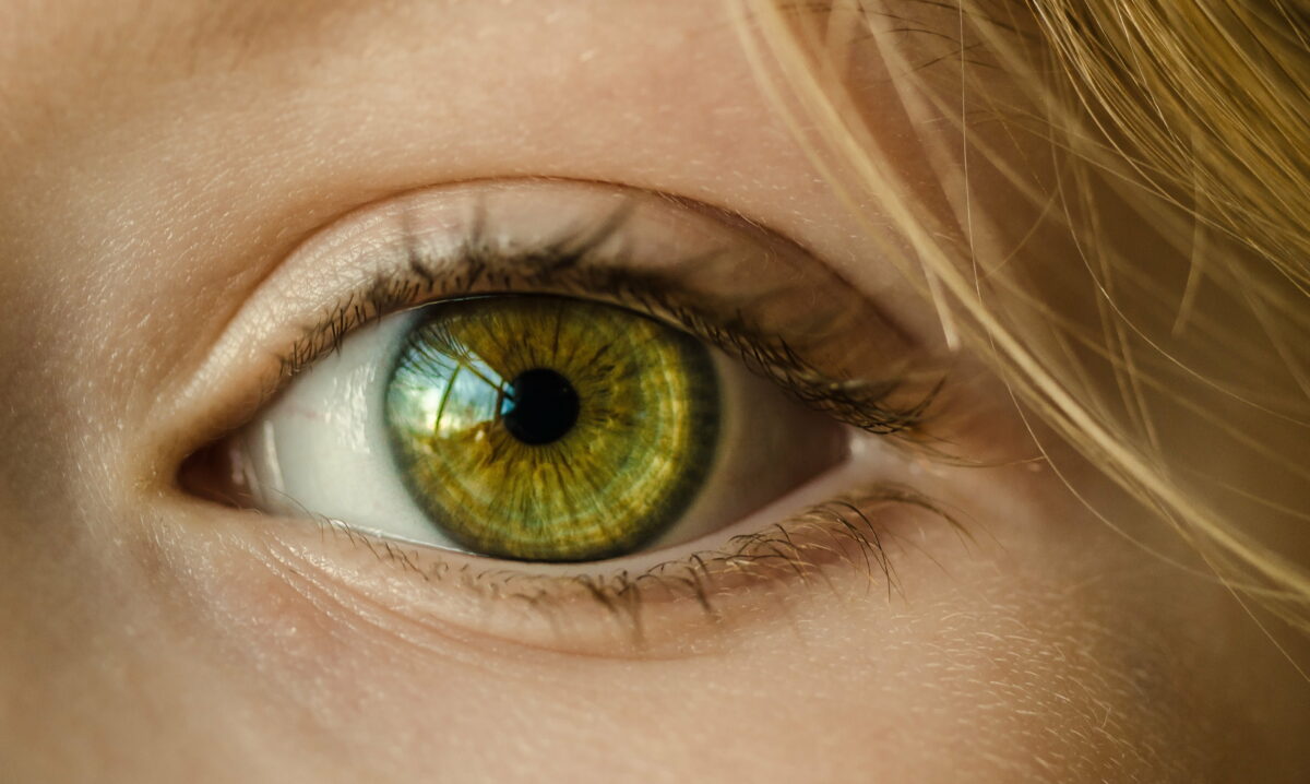 Los científicos que experimentan con la inmortalidad consiguen activar células de la visión en ojos de donantes