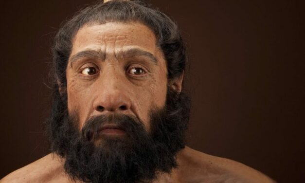 El estudio de cráneos antiguos arroja luz sobre el mestizaje con los neandertales