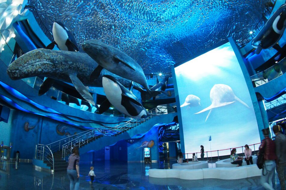 Ballenas colgando del techo: los mejores museos donde contemplarlas en el mundo
