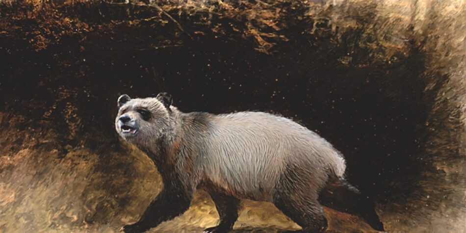 Así eran los últimos pandas gigantes que vivieron en Europa en la prehistoria