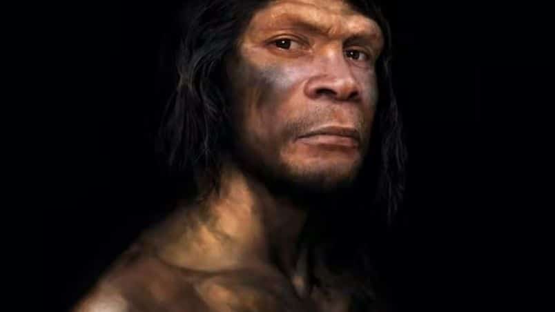 Los neandertales se extinguieron hace 40.000 años, pero nunca ha habido más ADN suyo que hoy